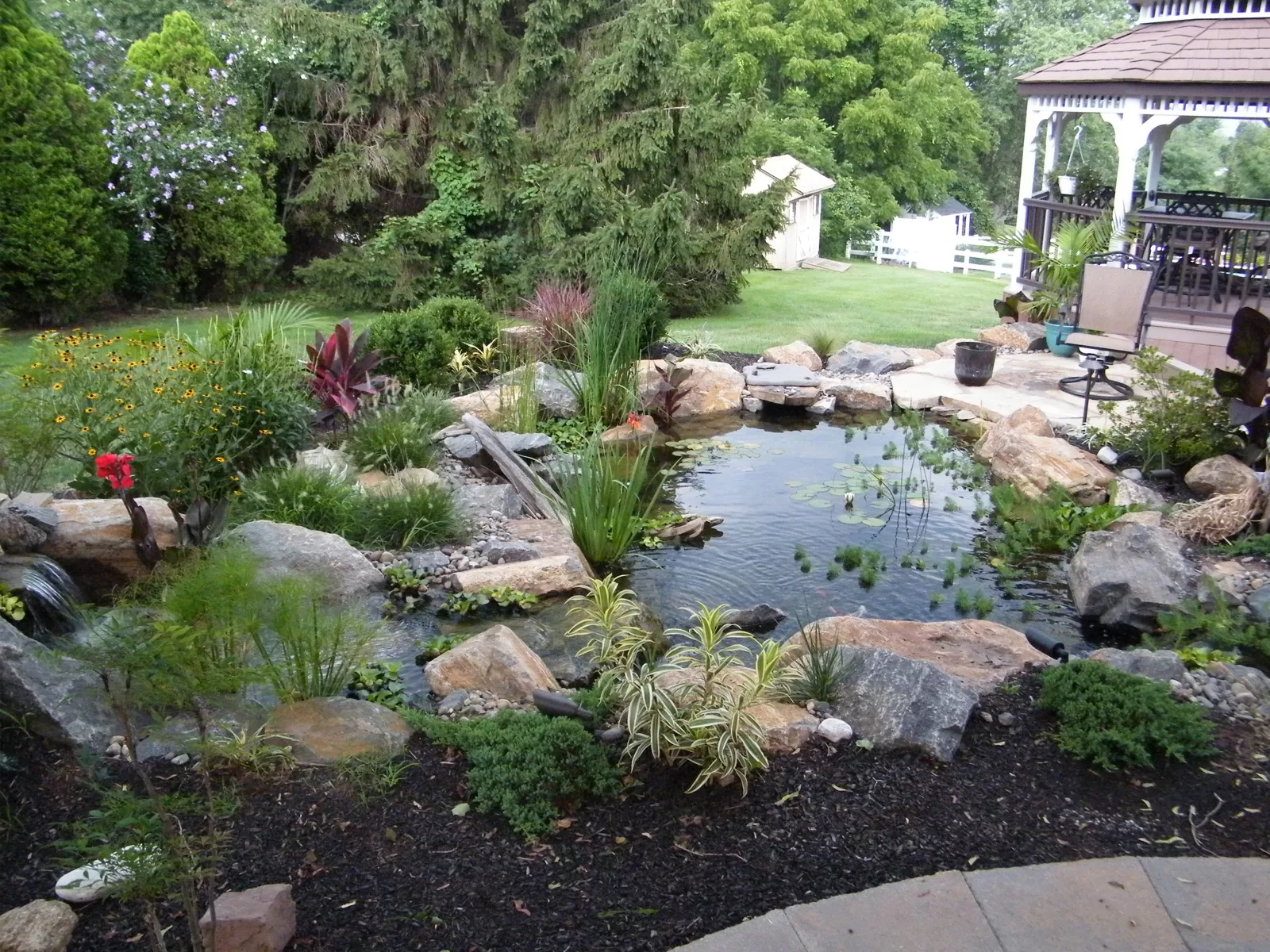 Water Garden with Landscaping water garden with landscaping