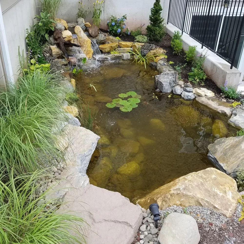 water garden