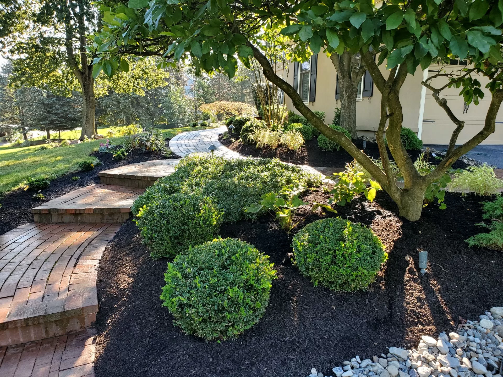 beds surrounding front walkway