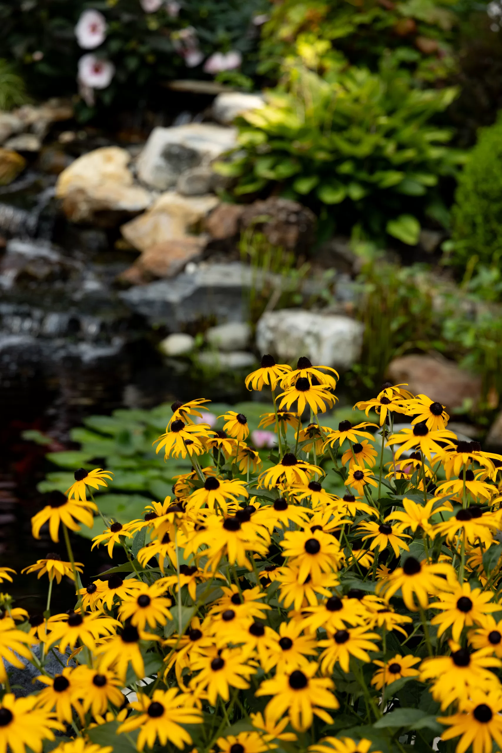 water garden with landscaping