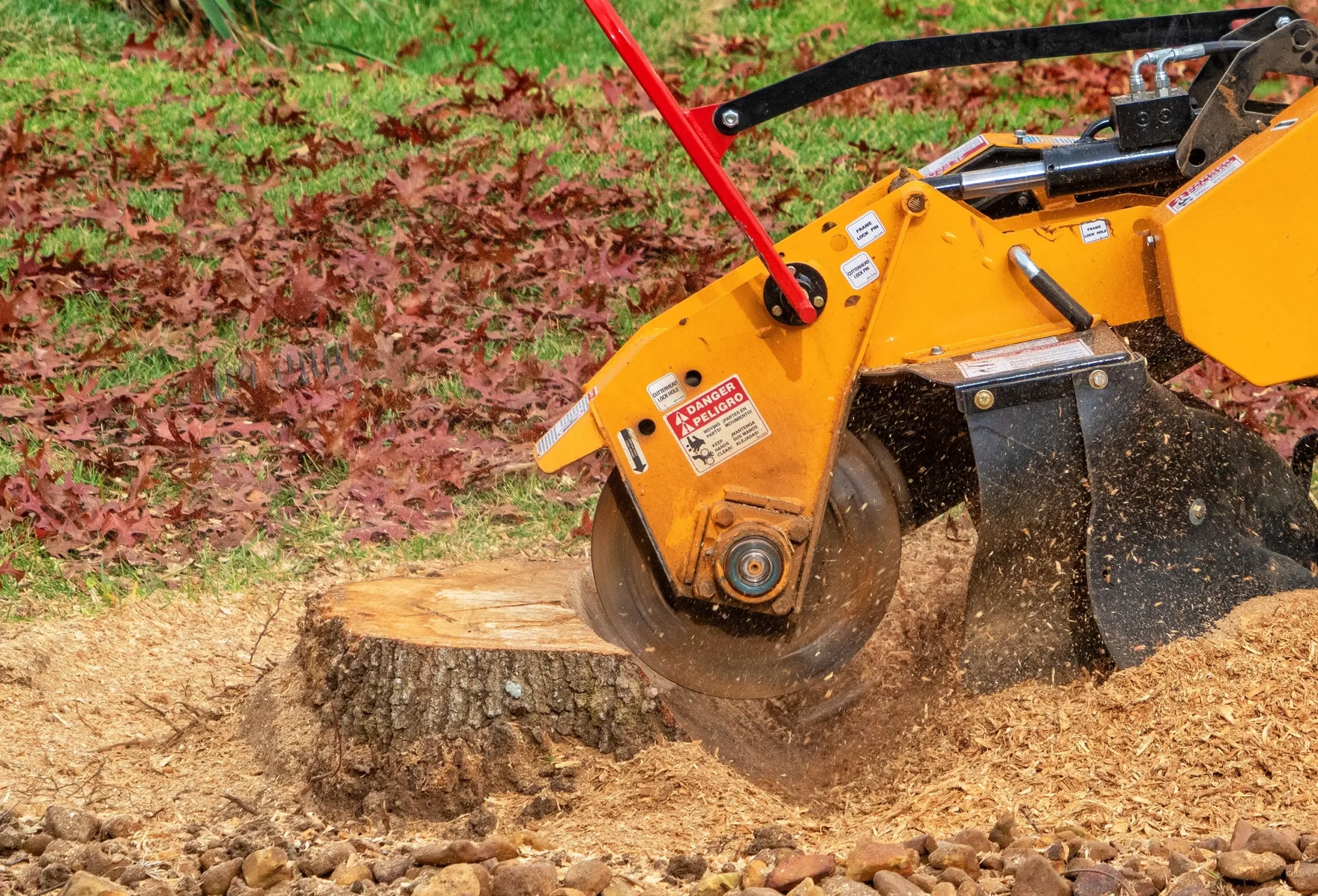 stump-grinding stump grinding